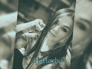 Harleyboo