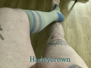 Harleybrown