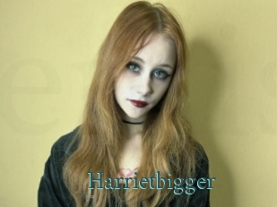 Harrietbigger