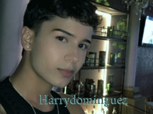 Harrydominguez