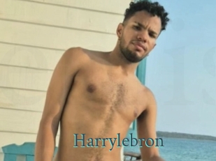 Harrylebron