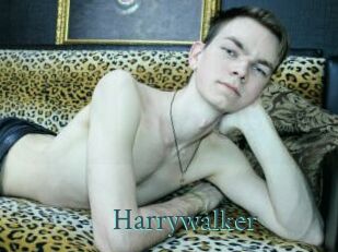 Harrywalker