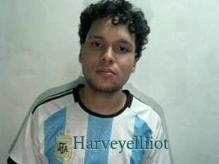 harveyelliiot En live show