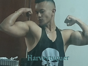 Harveytuquer