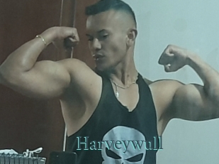 Harveywull
