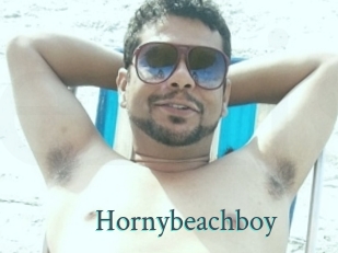 Hornybeachboy