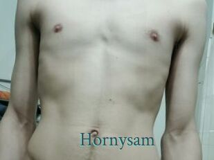 Hornysam