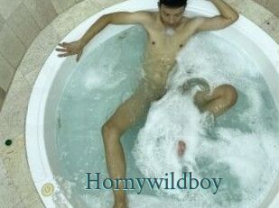 Hornywildboy