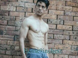 Horse9inchesz