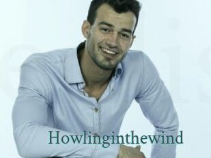Howlinginthewind