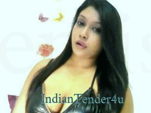 IndianTender4u