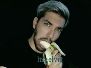 Itsgelviz