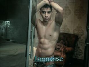 Iannrosse