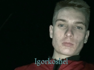 Igorkoshel