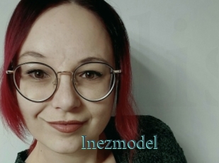 Inezmodel