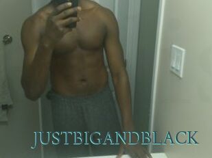 JUSTBIGANDBLACK
