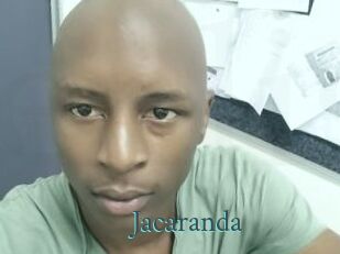 Jacaranda