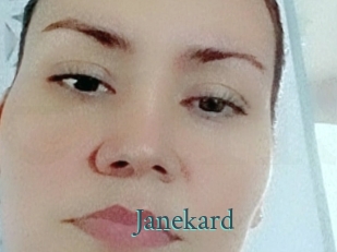 janekard En live show