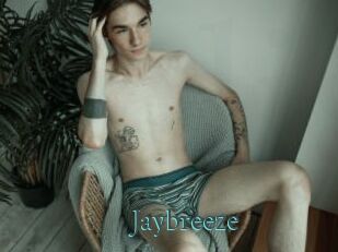 Jaybreeze