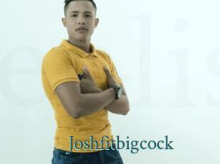 Joshfitbigcock