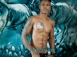joshhuntt En live show