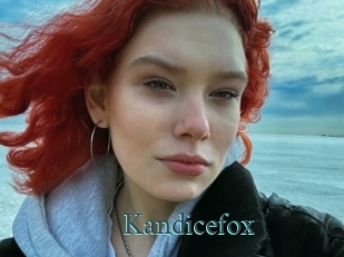 Kandicefox