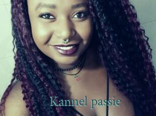 Kannel_passie