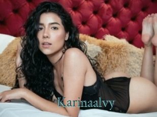 Karinaalvy