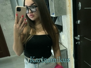 Karinamikus