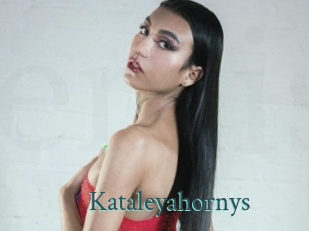 kataleyahornys En live show