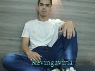 Kevingaviria