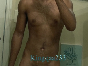 Kingqaa233