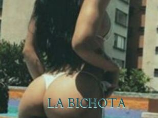 LA_BICHOTA