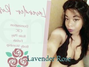 Lavender_Rose