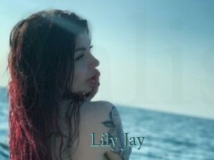 Lily_Jay