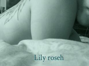 Lily_roseh