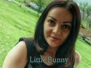 Little_Bunny_