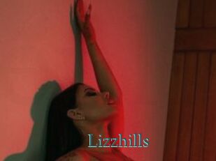 Lizzhills