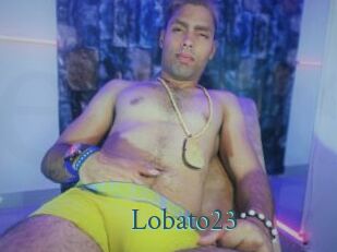 Lobato23