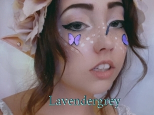 Lavendergrey