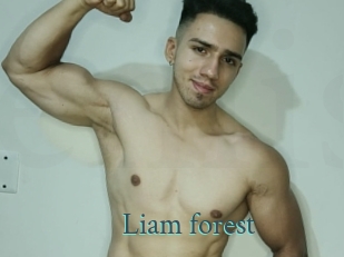 Liam_forest