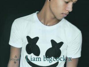Liam_bigcock_x