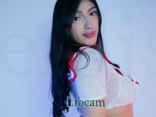 Libcam