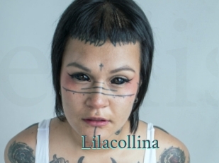 Lilacollina