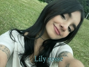 Lily_rosse