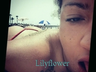 Lilyflower