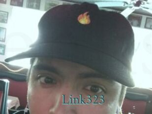 Link323