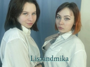 Lisaandmika