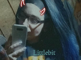 Littlebit