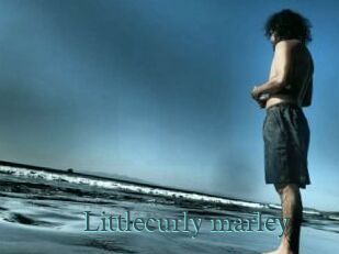Littlecurly_marley